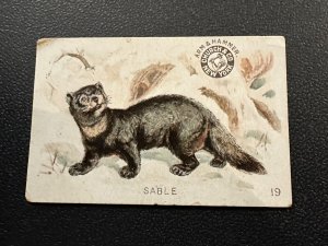 c1900s Trade Card Arm Hammer Church & Dwight Co Interesting Animals Sable