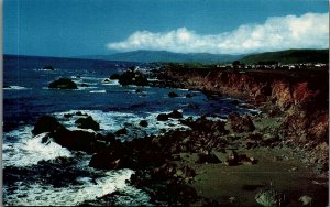 VINTAGE NORTHERN CALIFORNIA SHORELINE HWY NO 1 PHOTOCHROME POSTCARD 38-198