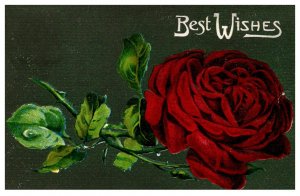 Best Wishes , flowers,  red roses