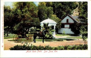 California San Jose Horse and Carriage In Alum Rock Park