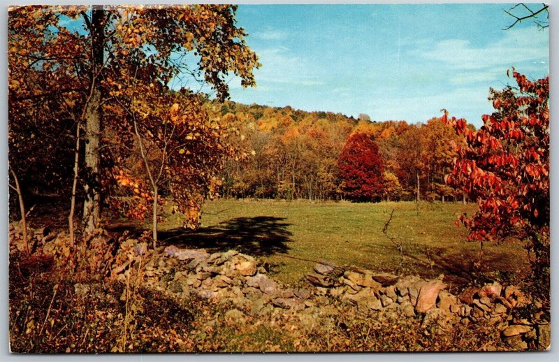 Vtg Pocahontas Arkansas AR Rustic Beauty Autumn Scene 1950s View Postcard