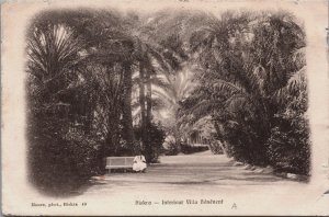 Algeria Biskra Interieur Villa Benevent Vintage Postcard C190