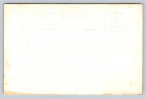 RPPC  Mobile Railroad Crane Loading Suger Cane  c1910 Postcard