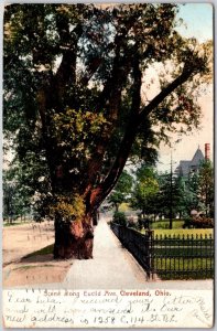 1906 Scene Along Euclid Avenue Cleveland Ohio OH Posted Postcard