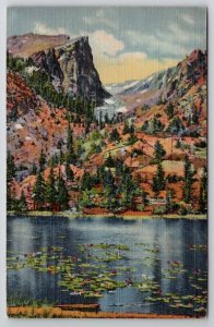 Nymph Lake And Mt Hallet Dream Lake CO To Schmitz Buffalo Gap SD Postcard A33