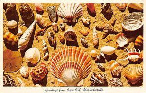 Greetings Cape Cod, Massachusetts USA