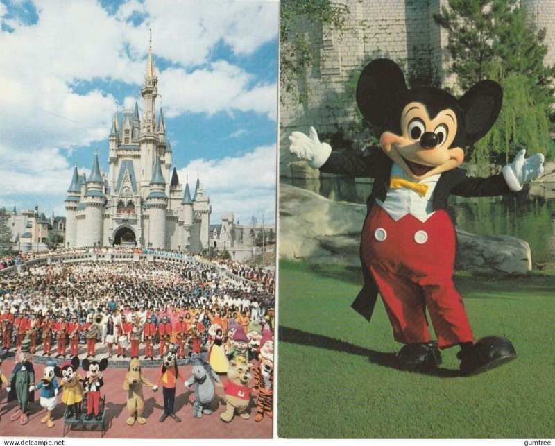 VINTAGE WALT DISNEY WORLD POSTCARDS - 2 DIFFERENT