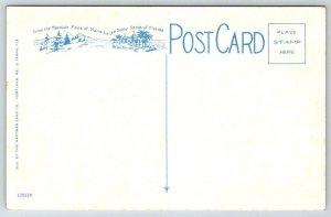 Vintage Florida Postcard - Ringling Brothers  Sarasota