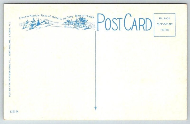 Vintage Florida Postcard - Ringling Brothers  Sarasota