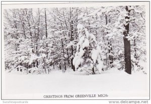 Michigan Greetings From Greenville Winter Scene Real Photo