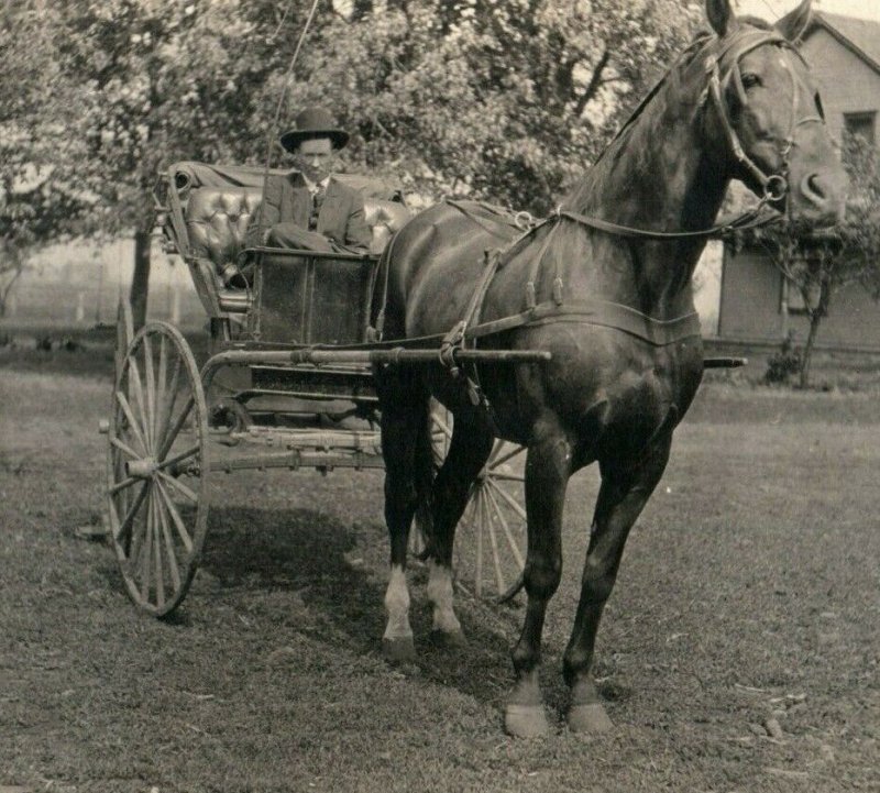 C.1917 RPPC Man In Horse Buggy Centralia, IL Postcard P165 