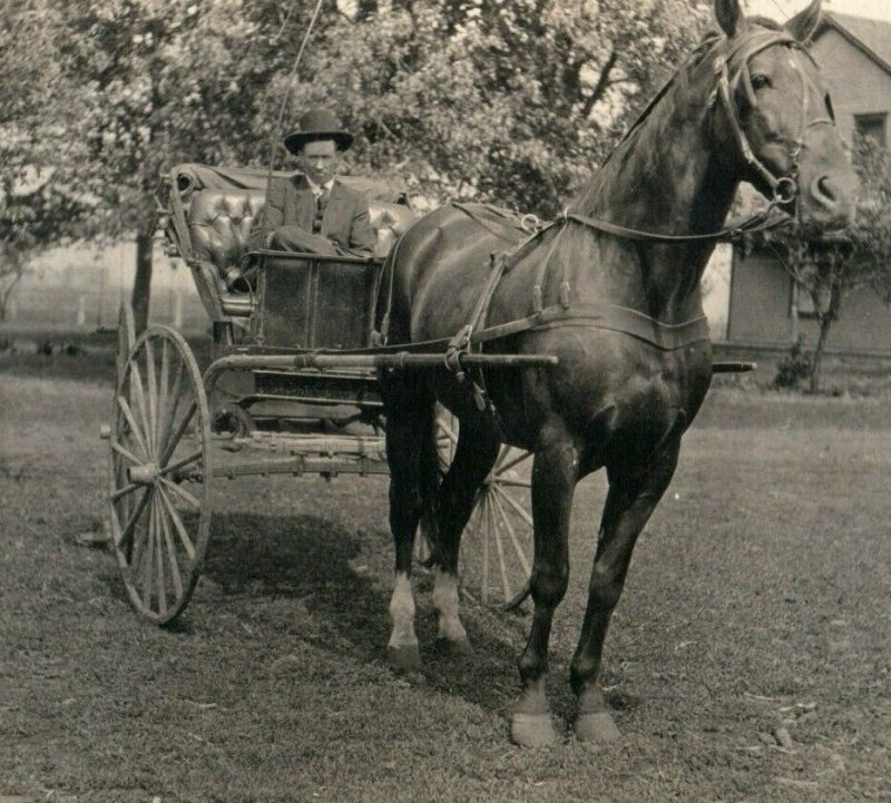 C.1917 RPPC Man In Horse Buggy Centralia, IL Postcard P165