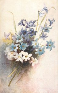 Postcard flowers Hyacinths Oilette Raphael Tuck