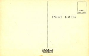 Humor - Fishing License