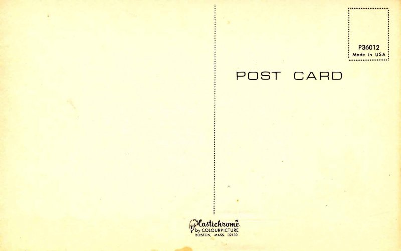 Humor - Fishing License