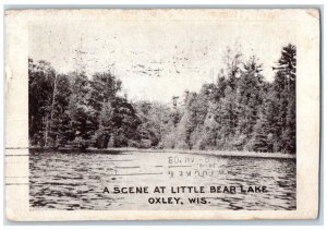 1908 A Scene At Little Bear Lake Oxley Wisconsin WI, Chicago IL Antique Postcard