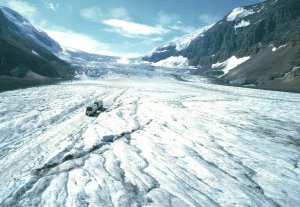 Icefield Parkway,Columbia Icefield,Alberta,Canada