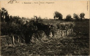 CPA SAUMUR - Verrie - Chute a l'Oppendisch (254090)