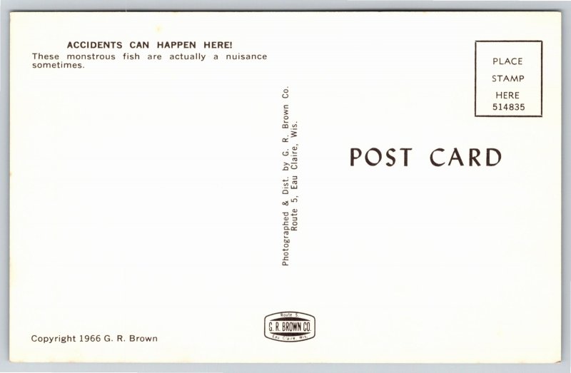 Wisconsin~Men in Speed Boat~Exaggerated Fish Attacks~1950s Postcard