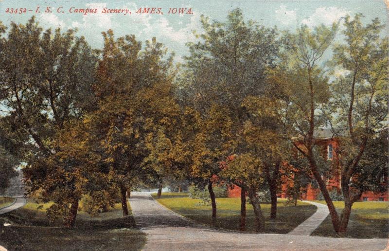 AMES IA~CAMPUS SCENERY-IOWA STATE UNIV-E T GROVE POSTCARD 1907