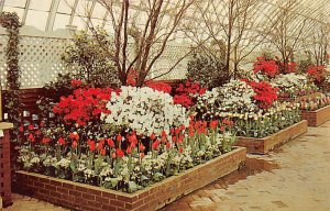 Spring Flower Show, Phipps Conservatory Pittsburgh, Pa, USA Unused 