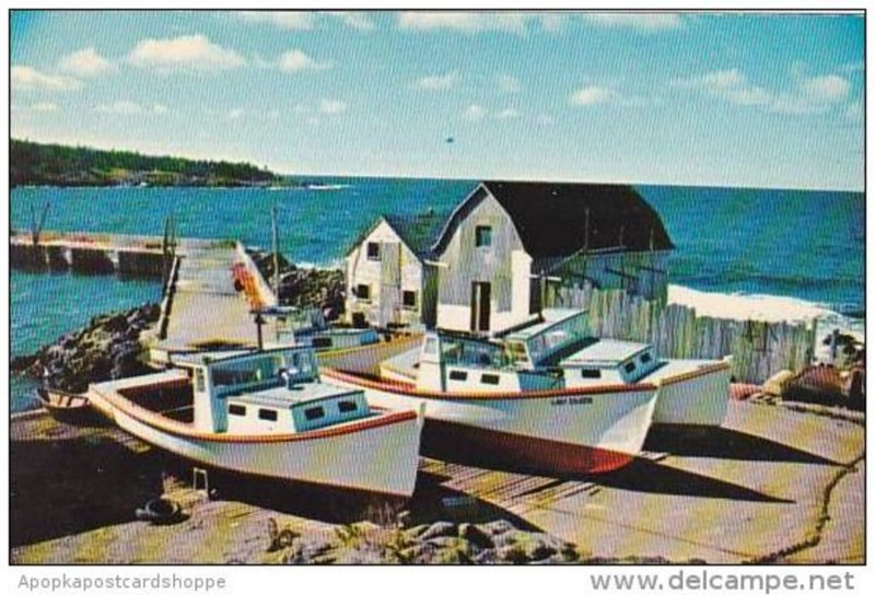 Canada Nova Scotia Digby Whale Cove Lobster Boats