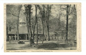 PA - Easton. Island Park, View at Merry-Go-Round ca 1906