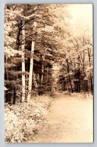 Woodsville NH RPPC Road Before 1938 Hurricane Real Photo Postcard