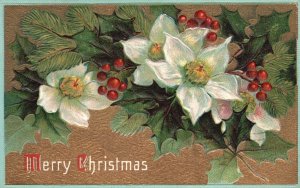 Vintage Postcard Merry Christmas White Flower Green Leaves Greetings Wishes