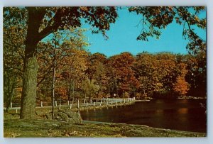 c1950's Autumn Scene Rustic Bridge Road Trees Beaver Lake New Jersey NJ Postcard