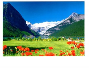 Lake Louise,Poppies in Gardens, Alberta, Canadian Rockies,