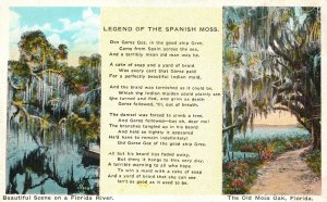 Vintage Postcard 1920's Legend of The Spanish Moss Old Moss Oak Florida River FL