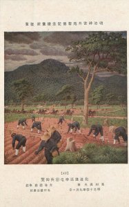 Postcard Japan 1920s Field Workers farm agriculture 23-2355