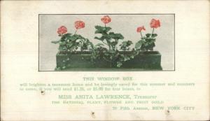 Window Box National Plant Flower & Fruit Guild New York City 1906 Postcard