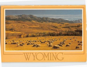 Postcard Wyoming