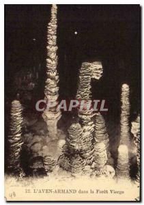 Postcard Old Aven Armand in the Virgin Forest