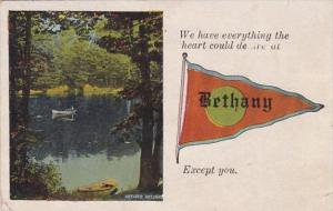 Pennant Series Bethany Illinois 1929