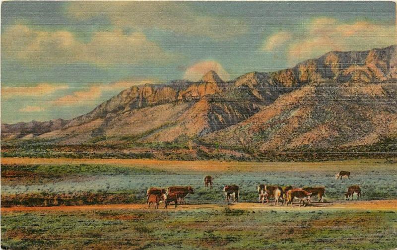 Linen Postcard; Sandia Peak & Needle, Sandia Mountains & Cattle, Albuquerque NM