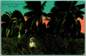 Cocoanuts and Guinea Corn Field Turks Islands BWI UNP Unused DB Postcard J4 
