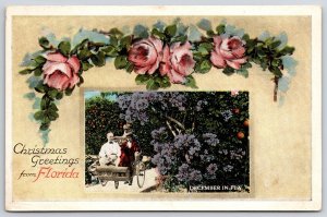 Postcard Merry Christmas Greetings from Florida Lovers Riding Car Orange Grove