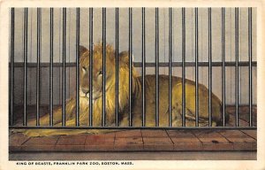 King Of The Beasts 1919 