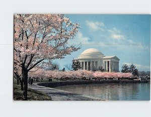 Postcard The Jefferson Memorial At Cherry Blossom Time Washington DC USA