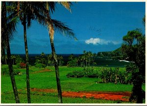 Kawaii Maui Lush Farmland Of Hakukoloa 1983