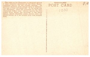 Florida  Palm Beach Patio at La Chaumiere