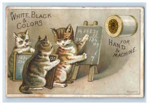 1880s J&P Coats Spool Thread Cat & Adorable Kittens Learning Math F198