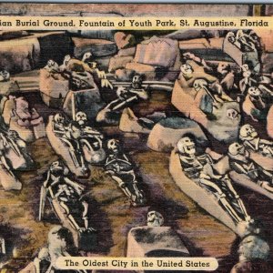 c1930s St Augustine, FL Indian Burial Ground Linen Postcard Skeletons A91