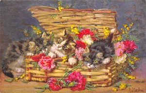 Kittens, Flowers Artist D. Merlin Cat 1943, missing stamp 