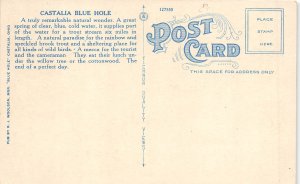 Castalia Ohio 1930s Postcard Spillway and Park at Blue Hole