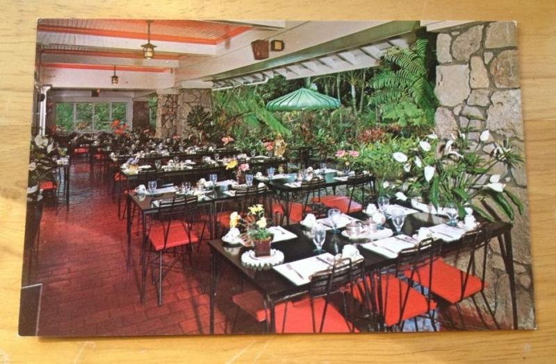 Waioli Tea Room Lanai Dining Room Vintage Glossy Postcard