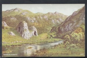 Derbyshire Postcard - Doveholes, Dovedale     RS12128